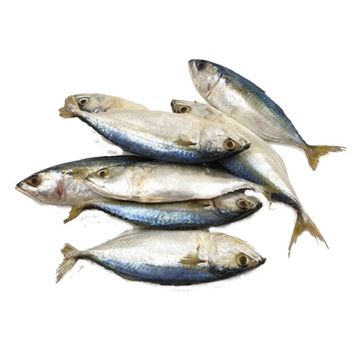 Indian Mackerel /Alumahan 10+ Pcs 1 Kg