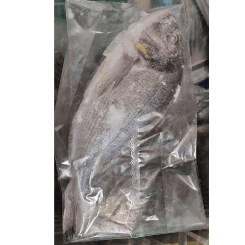 Dorade/Dorado 1 pc 400/500gr