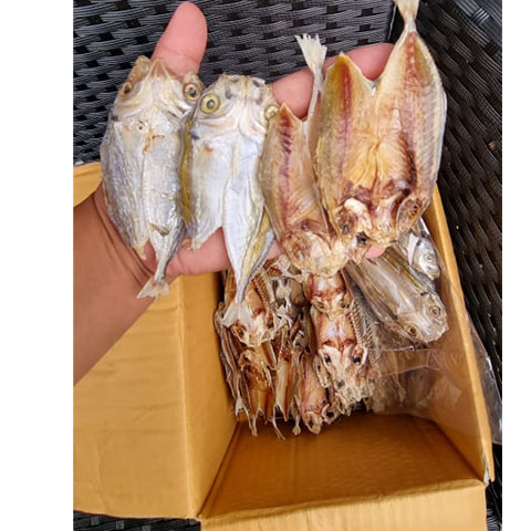 Dried Dalinuan Pinakas