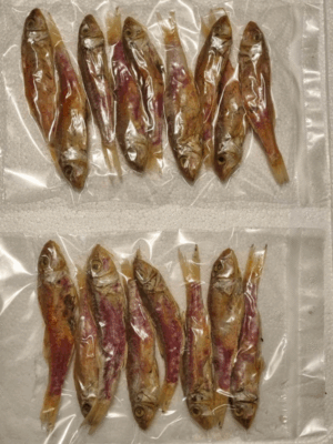 3406.png Sundried Salmonite whole 100 gr